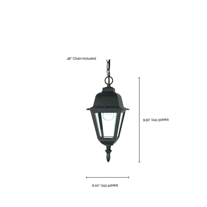 SATCO/NUVO Briton 1-Light 10 Inch Hanging Lantern With Clear Glass (60-489)