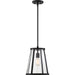 SATCO/NUVO Bruge 1-Light Pendant Fixture Matte Black Finish With Clear Glass (60-6699)