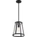 SATCO/NUVO Bruge 1-Light Pendant Fixture Matte Black Finish With Clear Glass (60-6699)