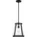 SATCO/NUVO Bruge 1-Light Pendant Fixture Matte Black Finish With Clear Glass (60-6699)