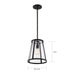 SATCO/NUVO Bruge 1-Light Pendant Fixture Matte Black Finish With Clear Glass (60-6699)