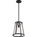 SATCO/NUVO Bruge 1-Light Pendant Fixture Matte Black Finish With Clear Glass (60-6699)