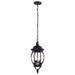 SATCO/NUVO Central Park 3-Light 20 Inch Hanging Lantern With Clear Beveled Glass (60-896)