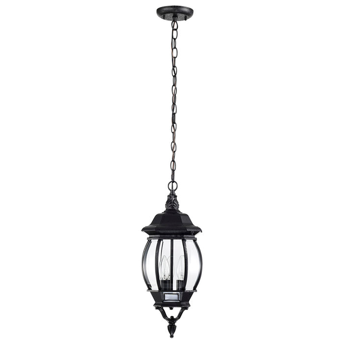 SATCO/NUVO Central Park 3-Light 20 Inch Hanging Lantern With Clear Beveled Glass (60-896)