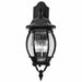 SATCO/NUVO Central Park 3-Light 22 Inch Wall Lantern With Clear Beveled Glass (60-893)