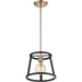 SATCO/NUVO Chassis 1-Light Miniature Pendant Fixture Copper Brushed Brass Finish With Matte Black Frame (60-6641)