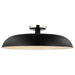 SATCO/NUVO Colony 1-Light Large Flush Mount Fixture Matte Black With Polished Nickel (60-7498)