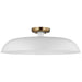 SATCO/NUVO Colony 1-Light Large Flush Mount Fixture Matte White With Burnished Brass (60-7496)