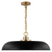 SATCO/NUVO Colony 1-Light Large Pendant Matte Black With Burnished Brass (60-7487)