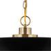 SATCO/NUVO Colony 1-Light Large Pendant Matte Black With Burnished Brass (60-7487)