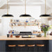 SATCO/NUVO Colony 1-Light Large Pendant Matte Black With Burnished Brass (60-7487)