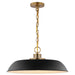 SATCO/NUVO Colony 1-Light Medium Pendant Matte Black With Burnished Brass (60-7484)