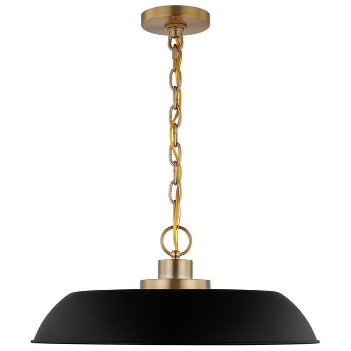 SATCO/NUVO Colony 1-Light Medium Pendant Matte Black With Burnished Brass (60-7484)