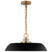 SATCO/NUVO Colony 1-Light Medium Pendant Matte Black With Burnished Brass (60-7484)