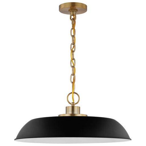 SATCO/NUVO Colony 1-Light Medium Pendant Matte Black With Burnished Brass (60-7484)