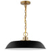 SATCO/NUVO Colony 1-Light Medium Pendant Matte Black With Burnished Brass (60-7484)