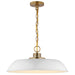 SATCO/NUVO Colony 1-Light Medium Pendant Matte White With Burnished Brass (60-7483)