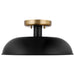 SATCO/NUVO Colony 1-Light Small Flush Mount Fixture Matte Black With Burnished Brass (60-7491)
