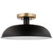 SATCO/NUVO Colony 1-Light Small Flush Mount Fixture Matte Black With Burnished Brass (60-7491)