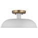 SATCO/NUVO Colony 1-Light Small Flush Mount Fixture Matte White With Burnished Brass (60-7490)
