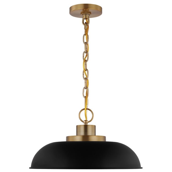 SATCO/NUVO Colony 1-Light Small Pendant Matte Black With Burnished Brass (60-7481)