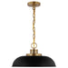 SATCO/NUVO Colony 1-Light Small Pendant Matte Black With Burnished Brass (60-7481)