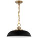 SATCO/NUVO Colony 1-Light Small Pendant Matte Black With Burnished Brass (60-7481)