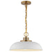 SATCO/NUVO Colony 1-Light Small Pendant Matte White With Burnished Brass (60-7480)