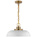 SATCO/NUVO Colony 1-Light Small Pendant Matte White With Burnished Brass (60-7480)