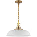 SATCO/NUVO Colony 1-Light Small Pendant Matte White With Burnished Brass (60-7480)