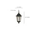 SATCO/NUVO Cornerstone 1-Light 13 Inch Hanging Lantern With Clear Seed Glass (60-993)