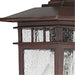 SATCO/NUVO Cove Neck 1-Light 12 Inch Outdoor Lantern With Clear Seed Glass (60-4952)