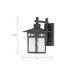 SATCO/NUVO Cove Neck 1-Light 12 Inch Outdoor Lantern With Clear Seed Glass (60-4953)