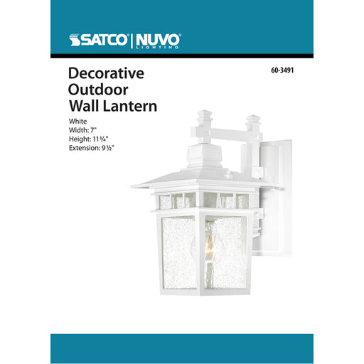 SATCO/NUVO Cove Neck 1-Light 12 Inch Outdoor Lantern With Clear Seed Glass Color Retail Packaging (60-3491)