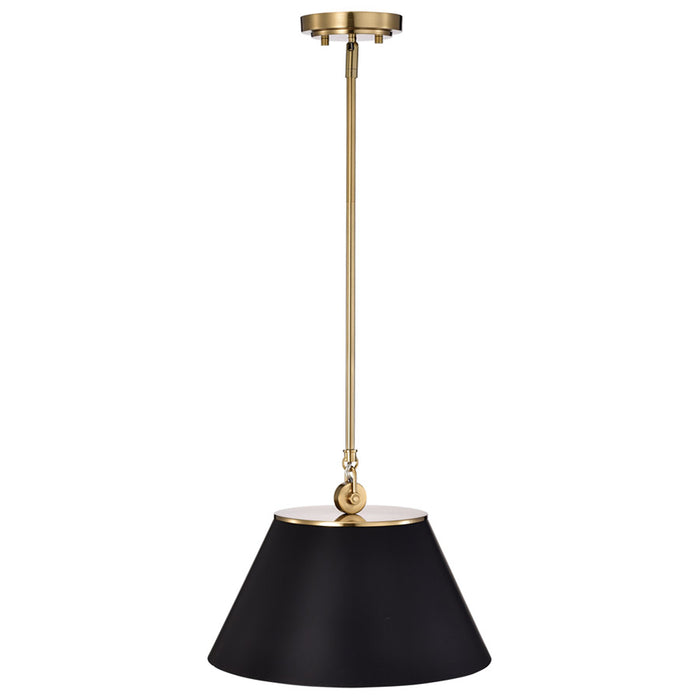 SATCO/NUVO Dover 1-Light Medium Pendant Black With Vintage Brass (60-7411)