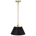 SATCO/NUVO Dover 1-Light Medium Pendant Black With Vintage Brass (60-7411)