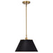 SATCO/NUVO Dover 1-Light Medium Pendant Black With Vintage Brass (60-7411)