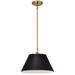 SATCO/NUVO Dover 1-Light Medium Pendant Black With Vintage Brass (60-7411)