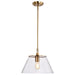 SATCO/NUVO Dover 1-Light Medium Pendant Vintage Brass With Clear Glass (60-7413)