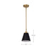 SATCO/NUVO Dover 1-Light Small Pendant Black With Vintage Brass (60-7408)