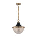 SATCO/NUVO Faro 1-Light Large Pendant Fixture Burnished Brass Finish With Black Accents Clear Prismatic Glass (60-7060)