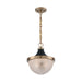 SATCO/NUVO Faro 1-Light Large Pendant Fixture Burnished Brass Finish With Black Accents Clear Prismatic Glass (60-7060)