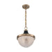 SATCO/NUVO Faro 1-Light Large Pendant Fixture Burnished Brass Finish With Black Accents Clear Prismatic Glass (60-7060)