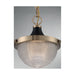 SATCO/NUVO Faro 1-Light Small Pendant Fixture Burnished Brass Finish With Black Accents Clear Prismatic Glass (60-7059)