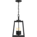 SATCO/NUVO Halifax 4-Light Hanging Lantern Matte Black Finish With Clear Glass (60-6584)