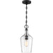 SATCO/NUVO Hartley 1-Light Pendant Fixture Matte Black Finish With Clear Glass (60-6749)