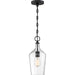 SATCO/NUVO Hartley 1-Light Pendant Fixture Matte Black Finish With Clear Glass (60-6749)