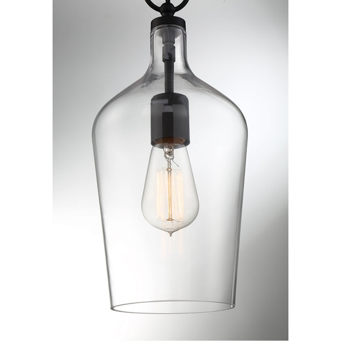 SATCO/NUVO Hartley 1-Light Pendant Fixture Matte Black Finish With Clear Glass (60-6749)