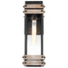 SATCO/NUVO Homestead 1-Light Medium Wall Lantern Matte Black And Wood Finish With Clear Glass (60-7541)