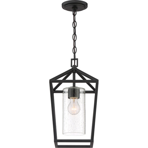 SATCO/NUVO Hopewell 1-Light Hanging Lantern Matte Black Finish With Clear Seeded Glass (60-6594)